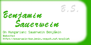 benjamin sauerwein business card