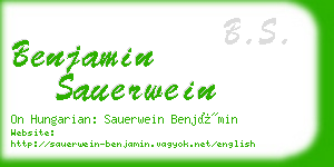 benjamin sauerwein business card